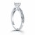 Diamond Pave Cathedral Engagement Ring Mounting in 14k White Gold