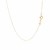 14k Yellow Gold Necklace with Dog Paw Print Symbol in Mother of Pearl