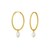 Pearl Drop Oval Earrings in 14K Yellow Gold