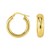 Medium Wide Hoop Earrings in 14k Yellow Gold