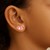14k Yellow Gold Enameled Flamingo Childrens Earrings