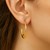 Puffed Graduated Open Oval Earrings in 14k Yellow Gold