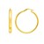 Medium Wedding Hoop Earrings in 14K Yellow Gold