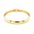 Classic Omega Bracelet in 14k Yellow Gold (6.0mm)