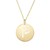 14K Yellow Gold Disc Initial P Pendant
