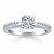 Cathedral Engagement Ring with Pave Diamonds in 14k White Gold