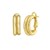 14K Yellow Gold Double Row Hinged Hoop Earrings