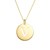 14K Yellow Gold Disc Initial V Pendant