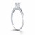 Engagement Ring with Pave Diamond Band Design in 14k White Gold