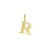 14K Yellow Gold Initial R Charm Pendant