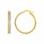 14K Two-Tone Gold Hoop Style Earrings with Center Glitter Look Design