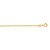 Mariner Link Anklet in 10k Yellow Gold (1.2mm)
