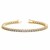 Round Diamond Tennis Bracelet in 14k Yellow Gold (6 cttw)