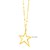14k Yellow Gold Necklace with Star Pendant