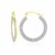 Glitter Texture Flat Round Hoop Earrings in 10K Yellow Gold