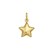 14K Yellow Gold Polished Star Charm Pendant