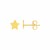 14k Yellow Gold Post Earrings with Stars(6.5mm)