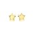 14k Yellow Gold Post Earrings with Stars(6.5mm)