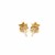 14k Yellow Gold Post Earrings with Stars(6.5mm)