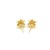 14k Yellow Gold Post Earrings with Stars(6.5mm)