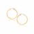 Classic Hoop Earrings in 10k Yellow Gold (2x40mm)