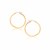 Classic Hoop Earrings in 10k Yellow Gold (2x40mm)