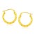 Textured Polished Round Hoop Earrings in 10k Yellow Gold