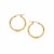 Diamond Cut Slender Small Hoop Earrings in 14k Yellow Gold (2x15mm)