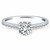 Engagement Ring with Pave Diamond Band in 14k White Gold