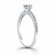 Engagement Ring with Pave Diamond Band in 14k White Gold