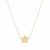 14k Yellow Gold Necklace with Five Pointed Star