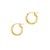 Classic Hoop Earrings in 10k Yellow Gold (3x15mm)