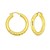 14K Yellow Gold Twisted Large Hoop Earrings