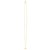 Whale Tail Necklace in 14K Yellow Gold