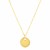 14k Yellow Gold High Polish Diamond Round Disc Tag Necklace