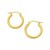 Classic Hoop Earrings in 14k Yellow Gold (2x15mm)