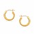 Fancy Diamond Cut Hoop Earrings in 14k Yellow Gold(3x15mm)