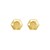 14K Yellow Gold Flat Back Hexagon Earrings