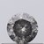 0.31 Carat ROUND Natural Diamond