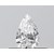 0.34 Carat PEAR Lab Grown Diamond